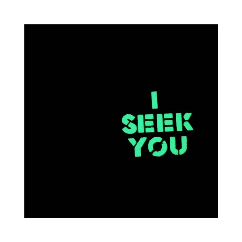 I SEEK YOU - FLUORESCENT PATCH
