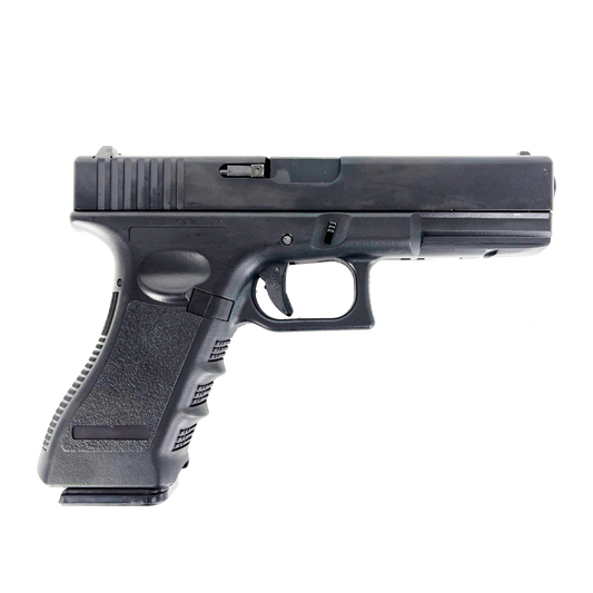 ROSSI VALIANT GUARDIAN BLACK