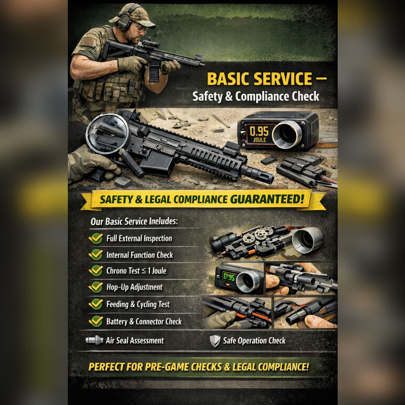 BASIC SERVICE - Safety & Compliance Check